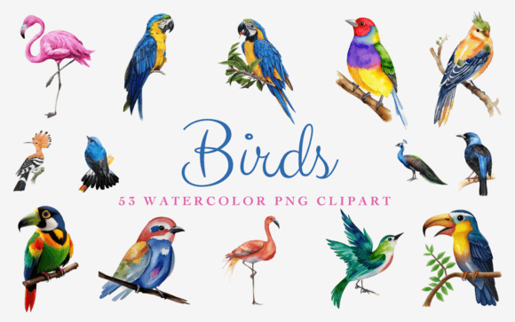 53 Watercolor Birds Premium PNG Clipart: Illustrations Review