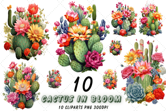 Blooming Cacti Illustrations for Editorial Design