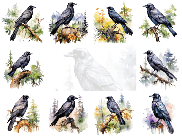 Elegant Watercolor Crow Clipart Bundle: Illustrations Review