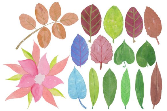 Leaf Set Illustrations: Watercolor Branding Review