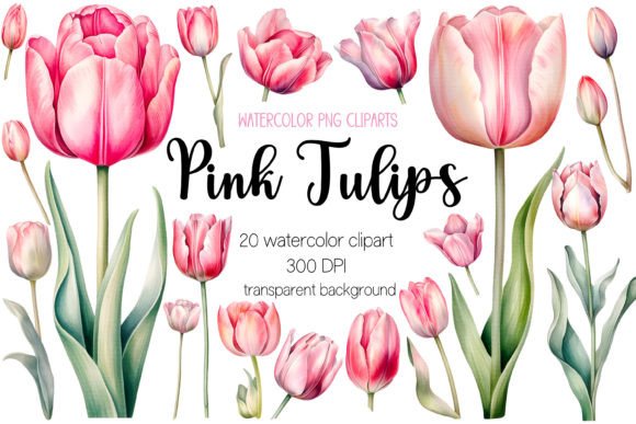 Pink Watercolor Tulip Clipart Bundle PNG Illustrations