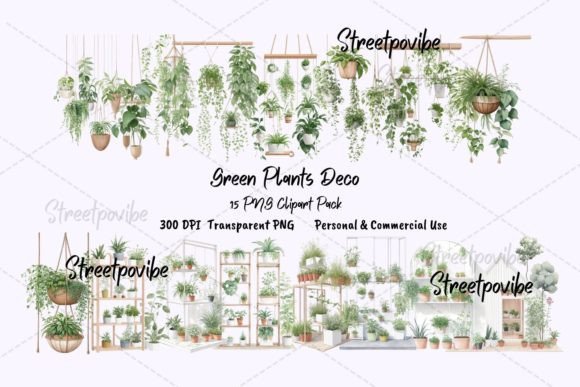 Plants Hanging Deco Watercolor Cliparts: Illustrations Review