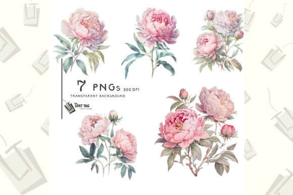 Vintage Peonies Clipart: Illustrations for Crafters