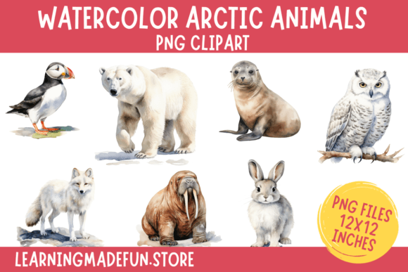 Watercolor Arctic Animals Clipart PNG: Illustrations Review