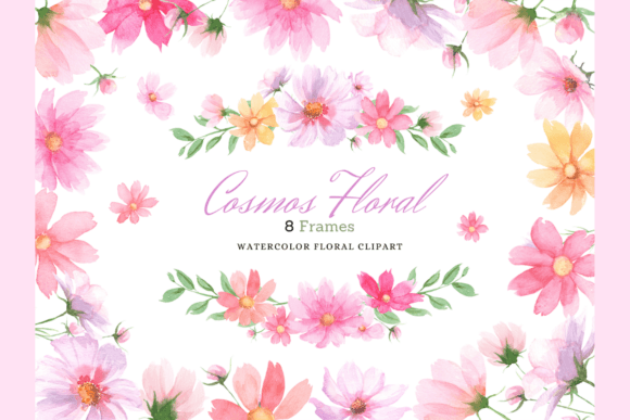 Watercolor Cosmos Flowers Frames Set: Editorial Illustrations