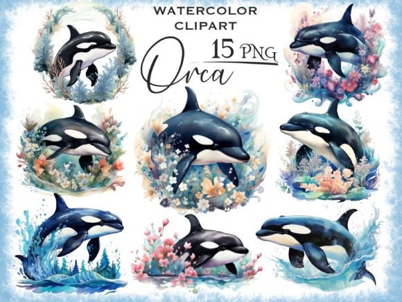 Watercolor Floral Orca PNG Clipart: Illustrations Review