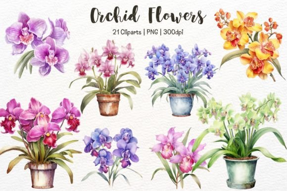 Watercolor Orchid Flowers Clipart: Elegant Illustrations