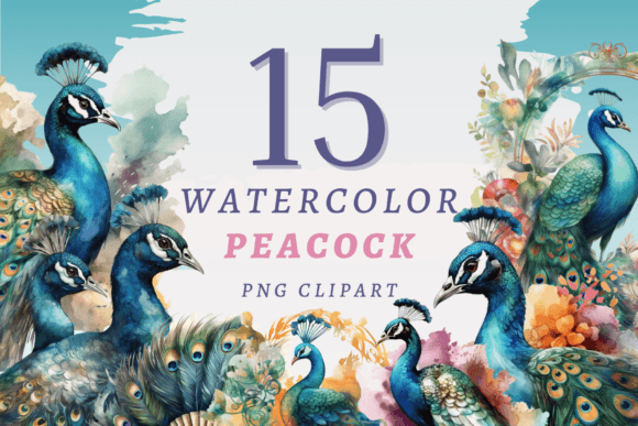 Watercolor Peacock PNG Bundle: Illustrations Review