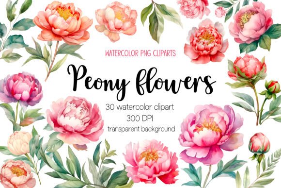 Watercolor Peony Flower Clipart Bundle: Illustrations Review