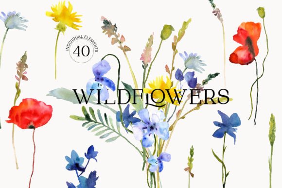 Watercolor Wildflowers Graphics: Illustrations for Branding